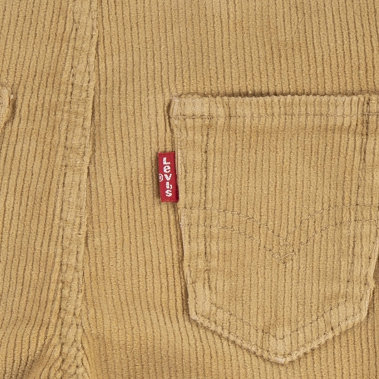 Levi's Baby Corduroy Overalls Lark 3