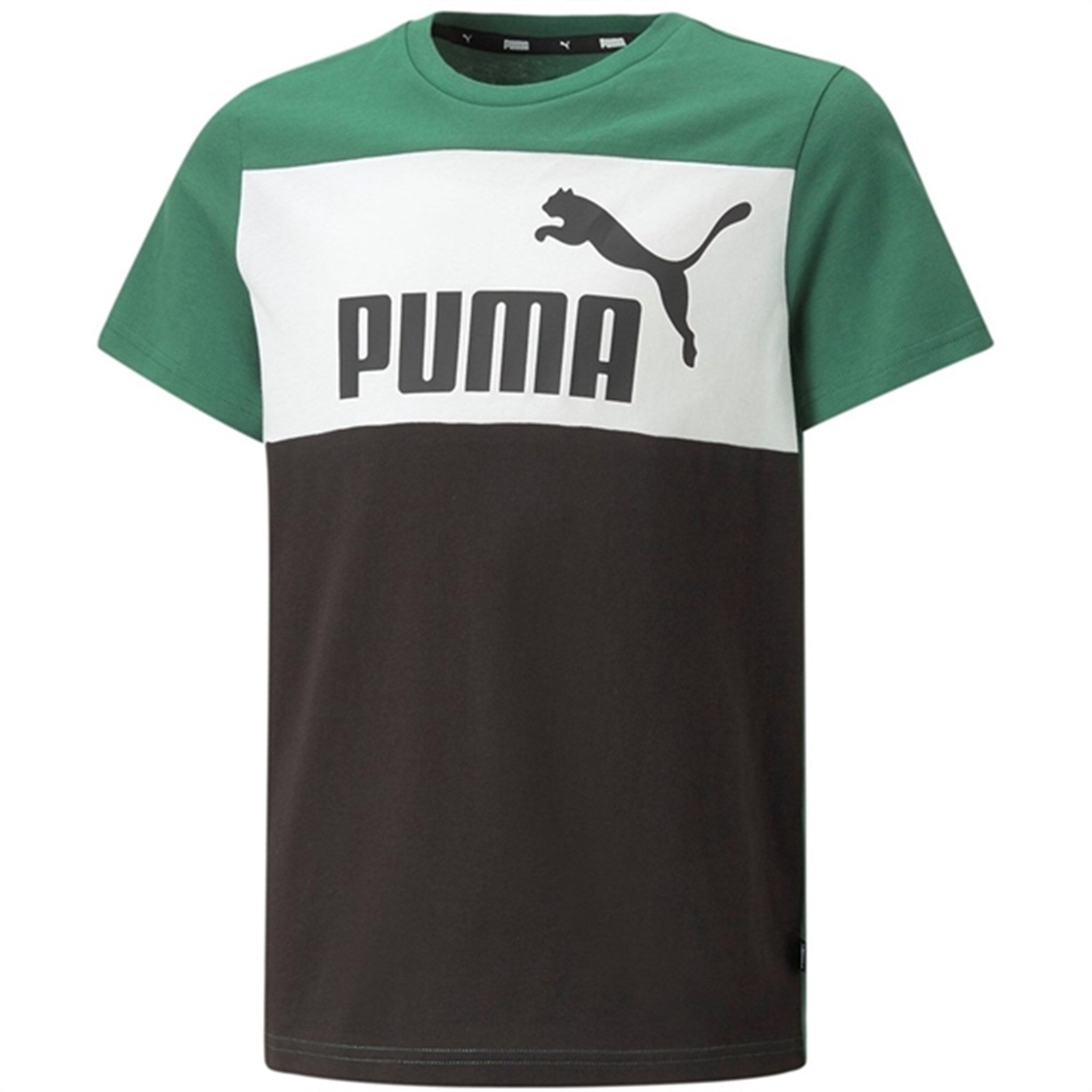 Puma ESS Block T-shirt Vine