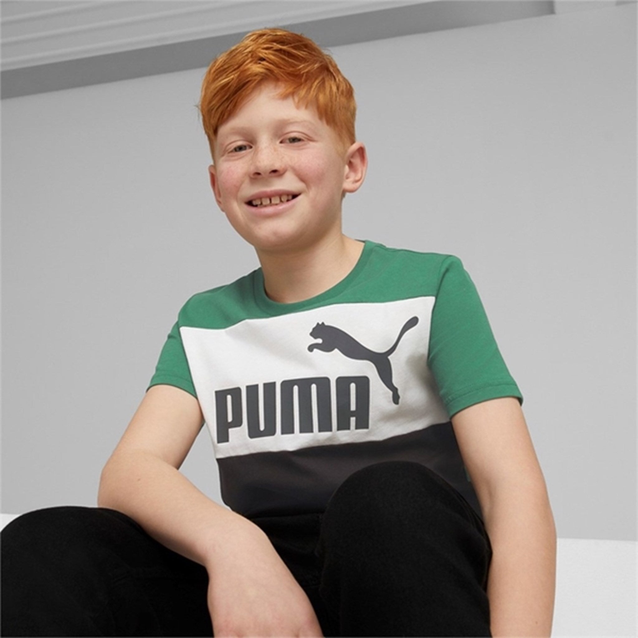 Puma ESS Block T-shirt Vine 3