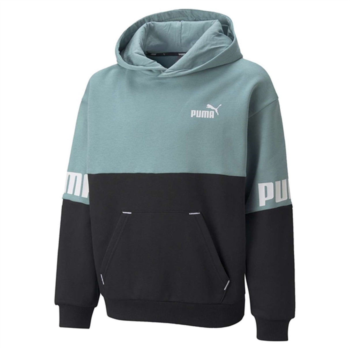 Puma Power Hoodie Blue