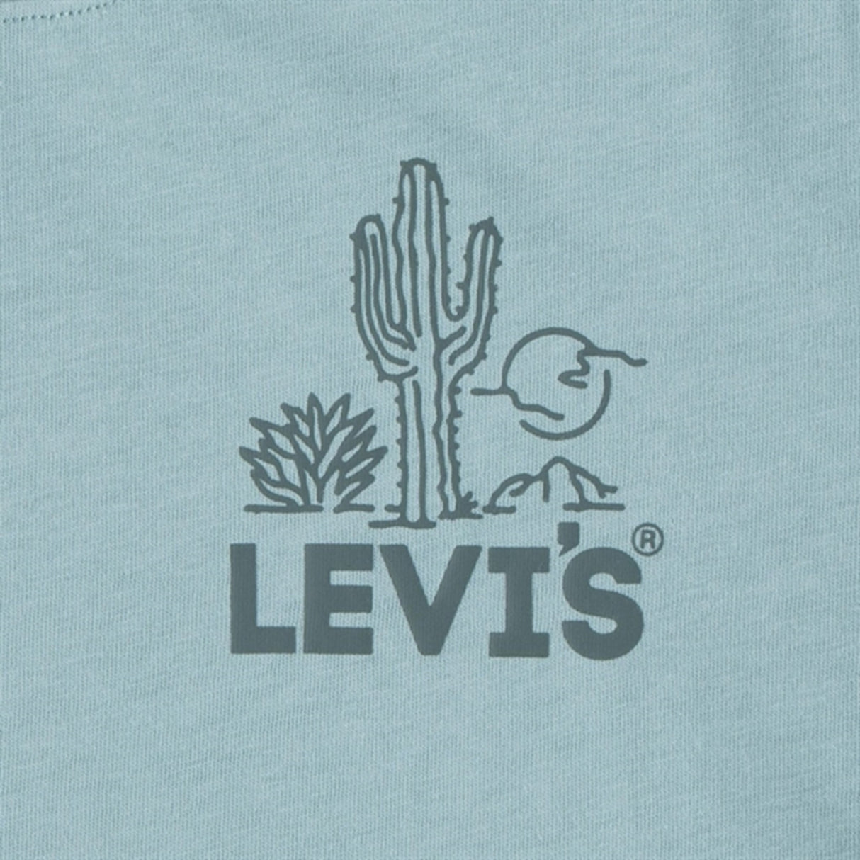 Levi's Cacti Club T-Shirt Levi's Blue Surf 3