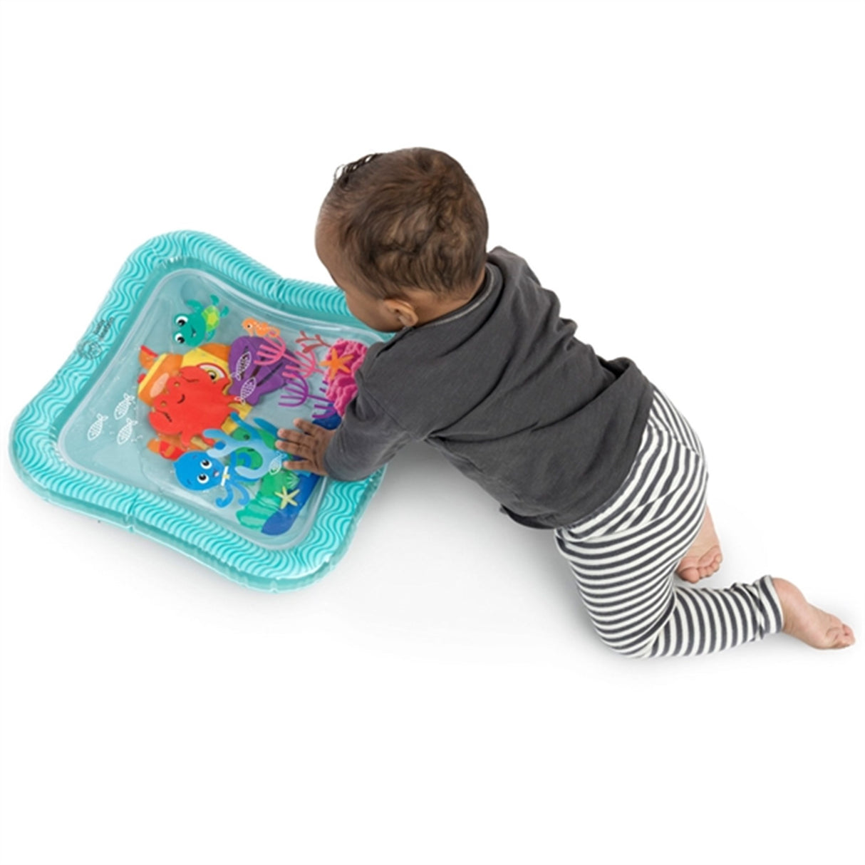 Baby Einstein Opus's Ocean of Discovery