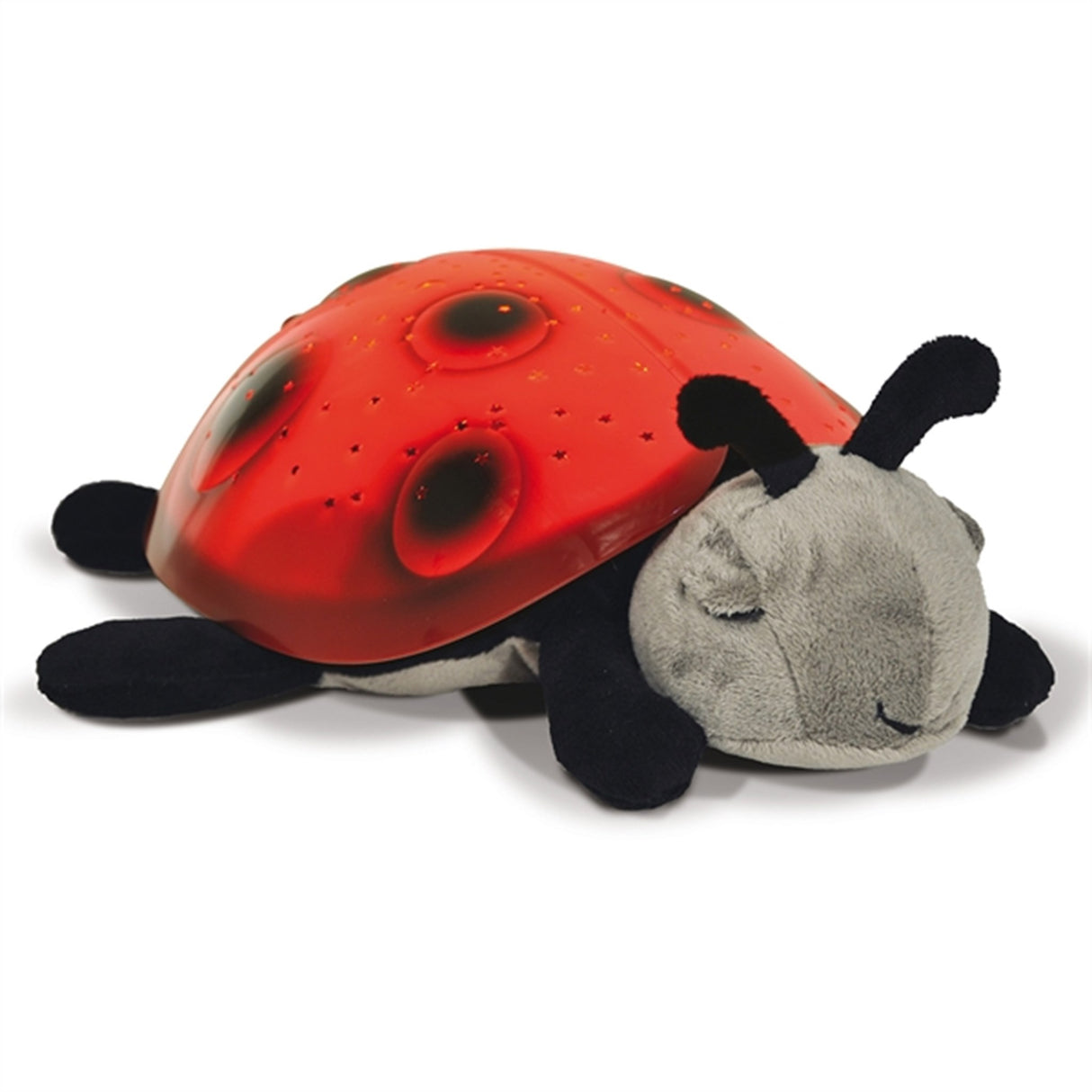 Cloud B Twilight Ladybug Night Light 4