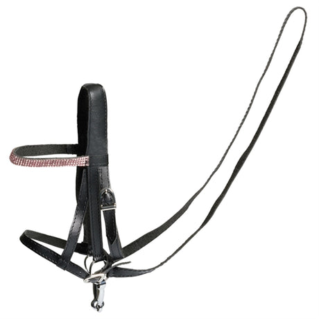 Cheval Roi Bridle Pink