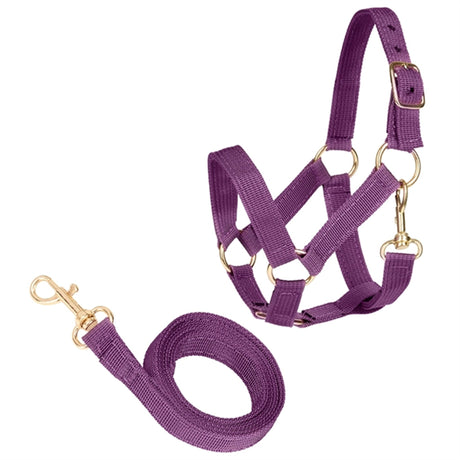 Cheval Roi Halter & Lead Amethyst