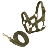 Cheval Roi Halter & Lead Sage Green