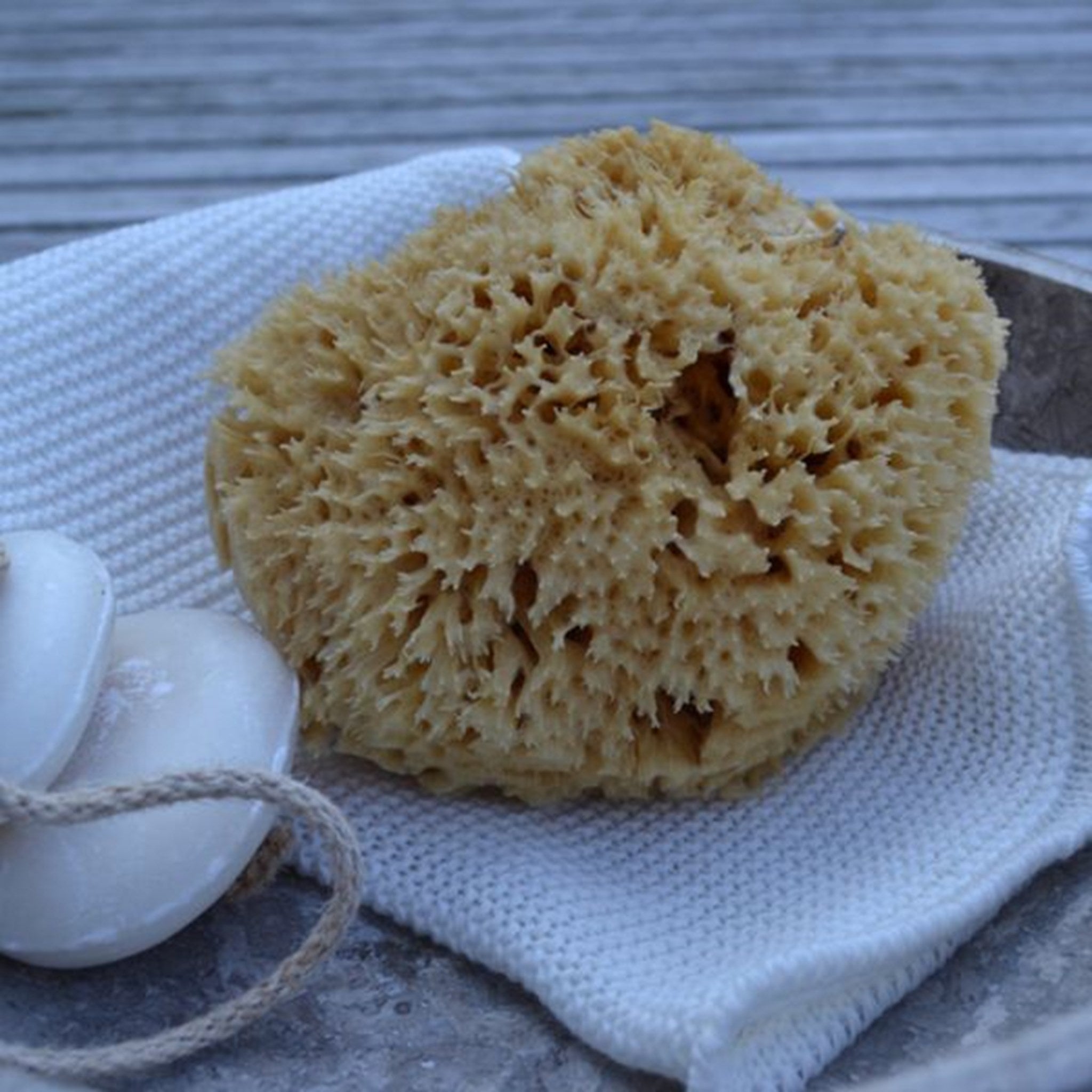 Cocoon Organic Laundry Honeycomp Sponge 10-11 cm 3