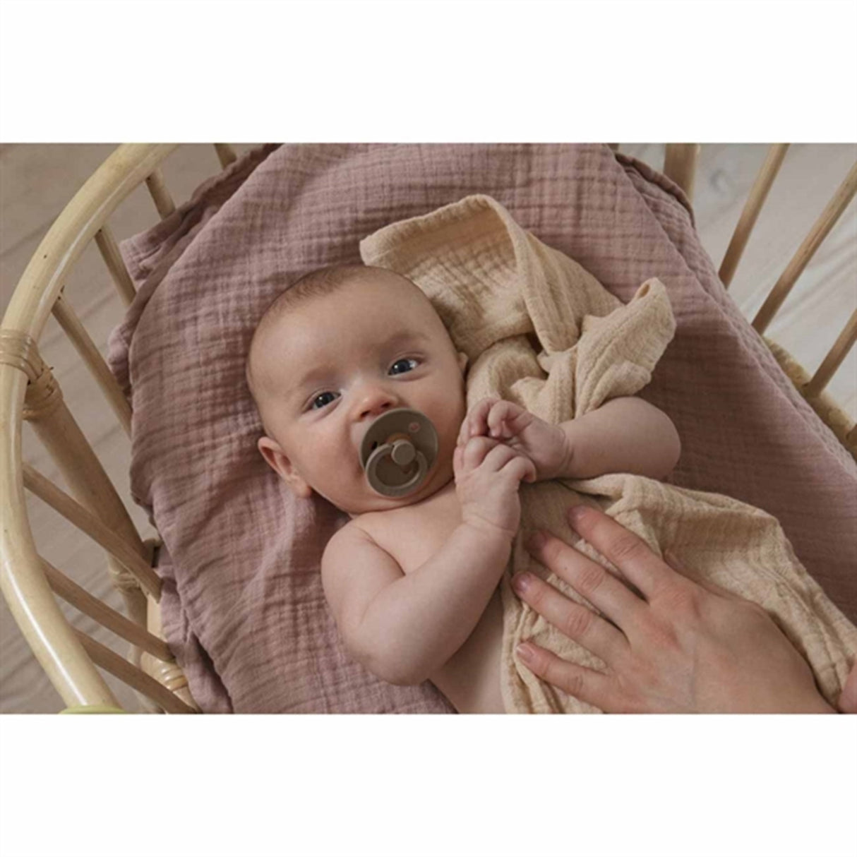 Bibs Colour Latex Pacifier 2-pack Round Mocha/Dark Oak 3