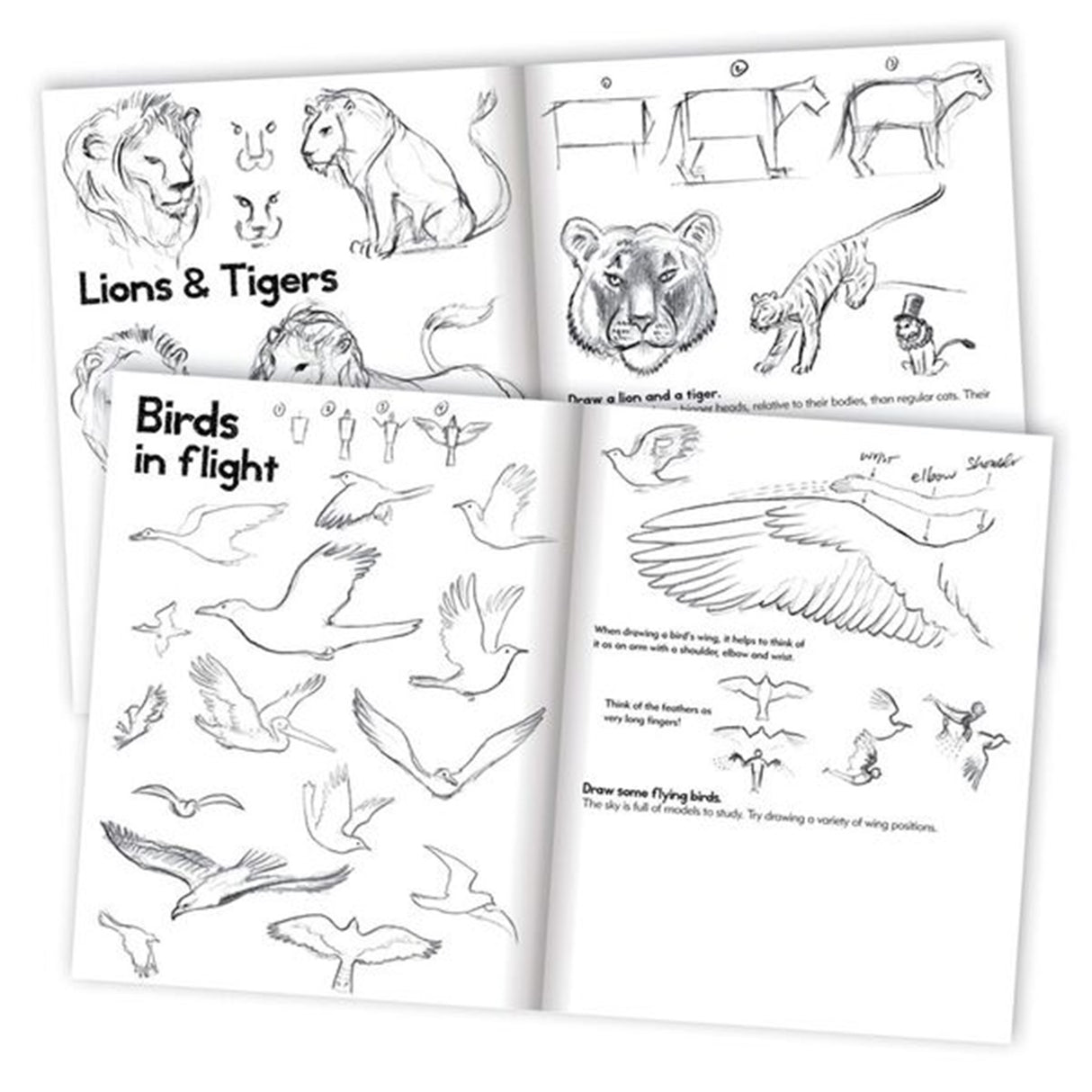 Eeboo Learn to Draw - Animals 2