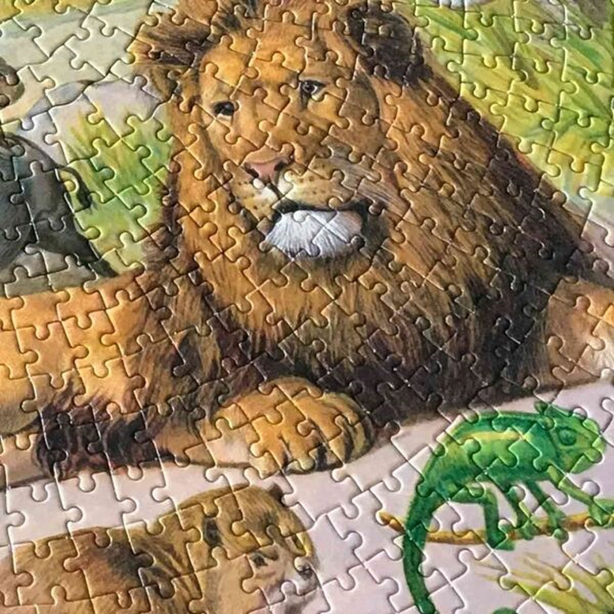 Eeboo Puzzle 1000 Pieces - Africa