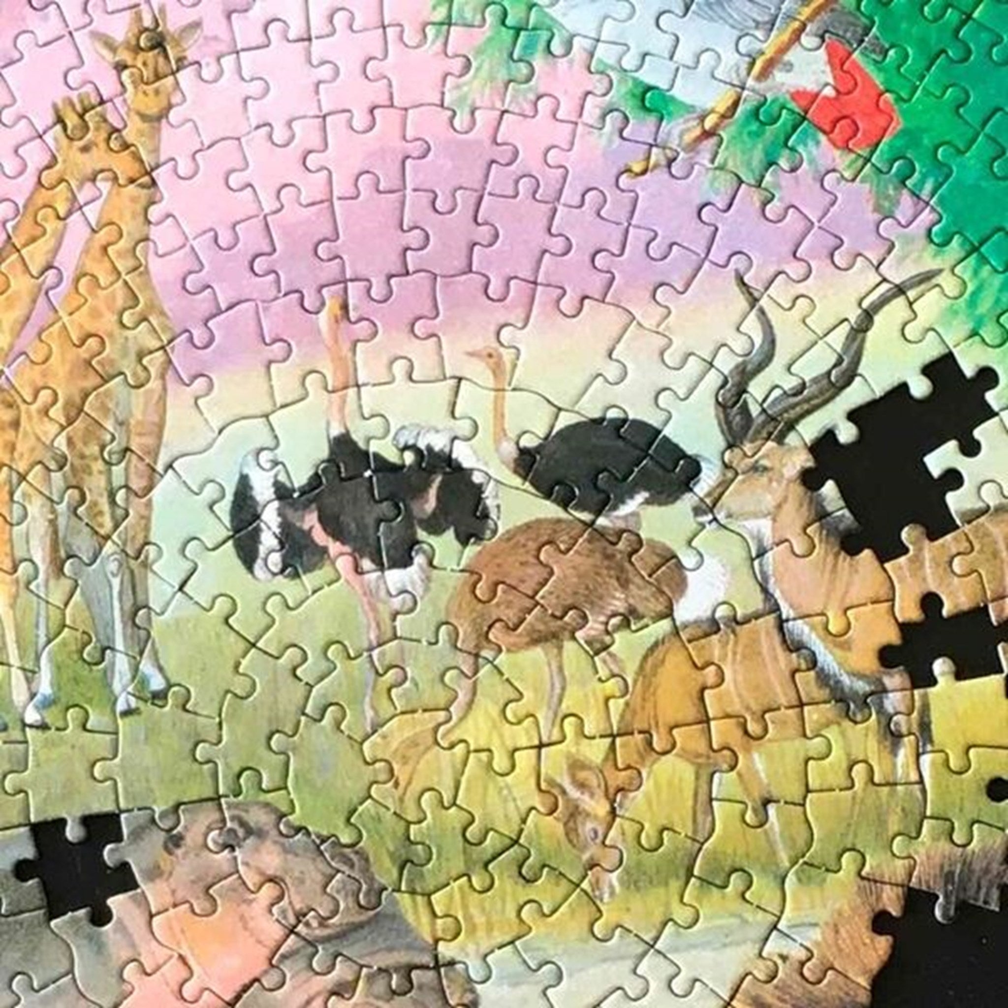 Eeboo Puzzle 1000 Pieces - Africa 2