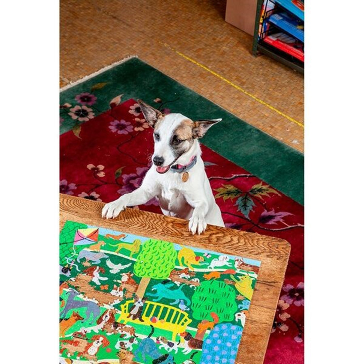 Eeboo Puzzle 1000 Pieces - Dogs in the Park