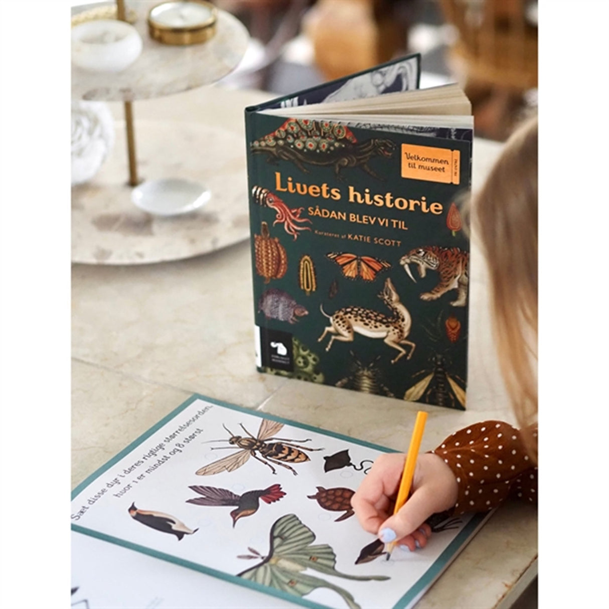 Forlaget Mammut Activity Book Animalium 2