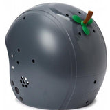 EGG Add-on Fruitstalk