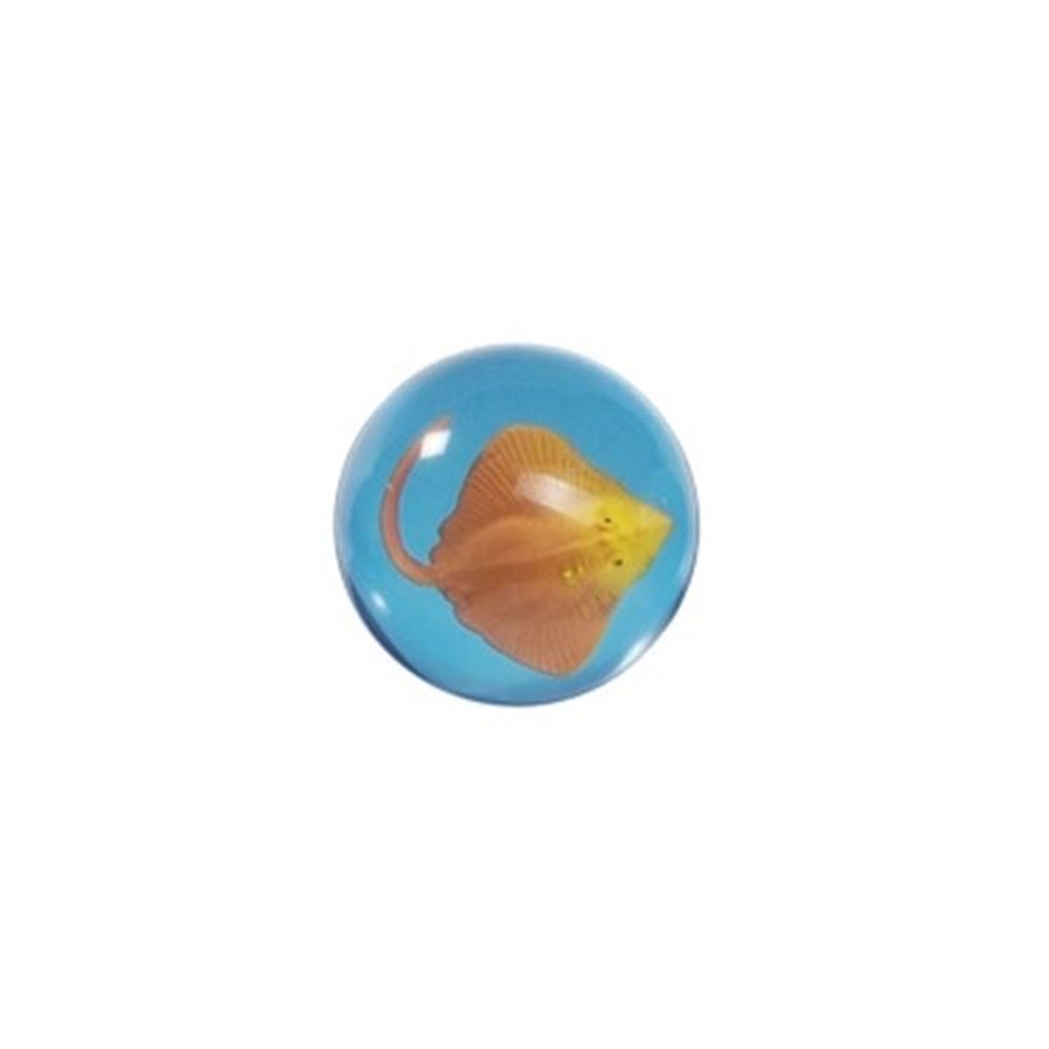Goki Bouncing Ball 3D  Ray Fish