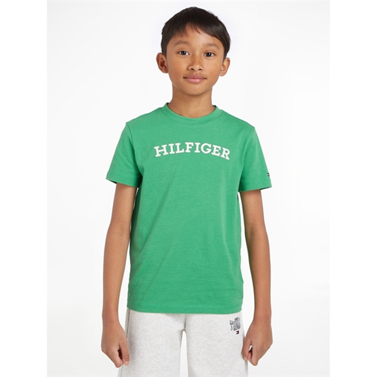 Tommy Hilfiger Arched T-Shirt Coastal Green 2