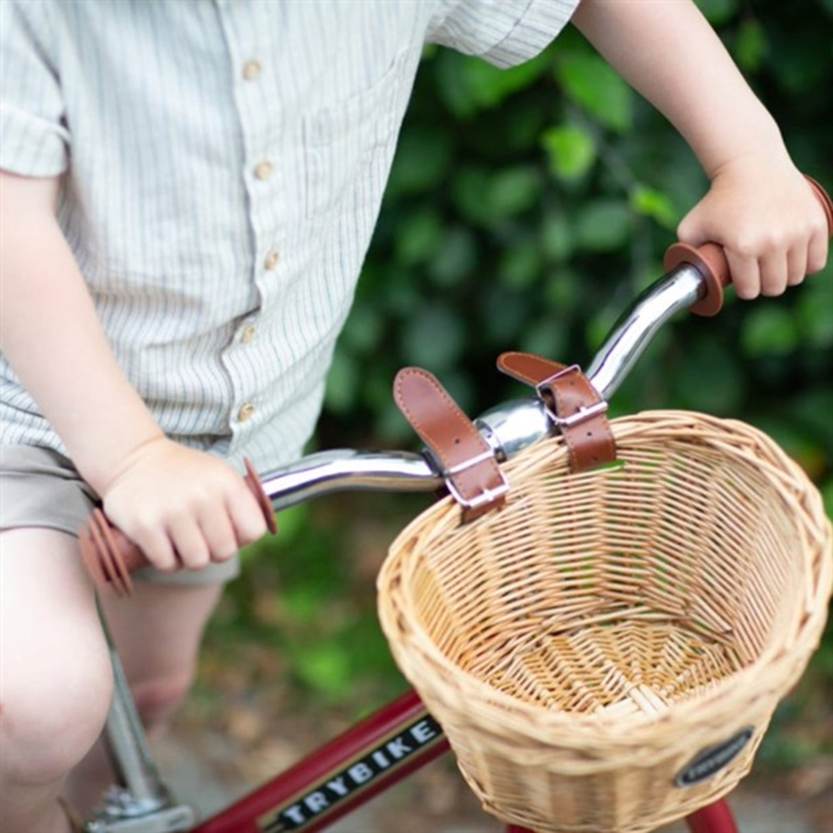 Trybike in Steel Basket for Bike