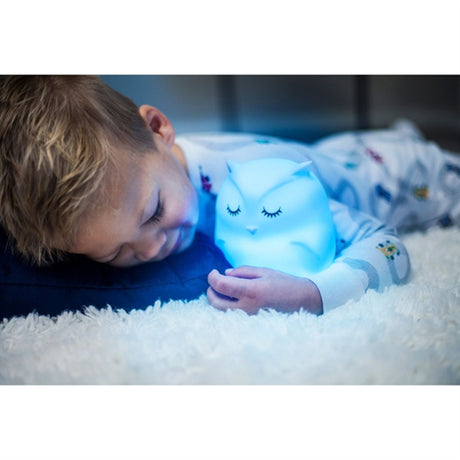 LumieWorld® LumiPets® Night Light Owl 2