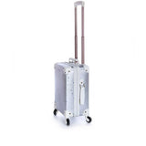 Pellianni City Suitcase Silver 2