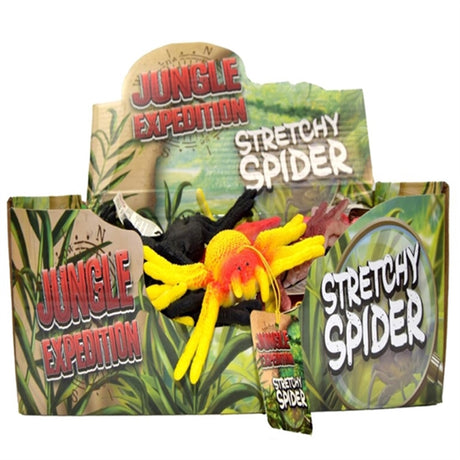 Pocket Money Spider 14 cm