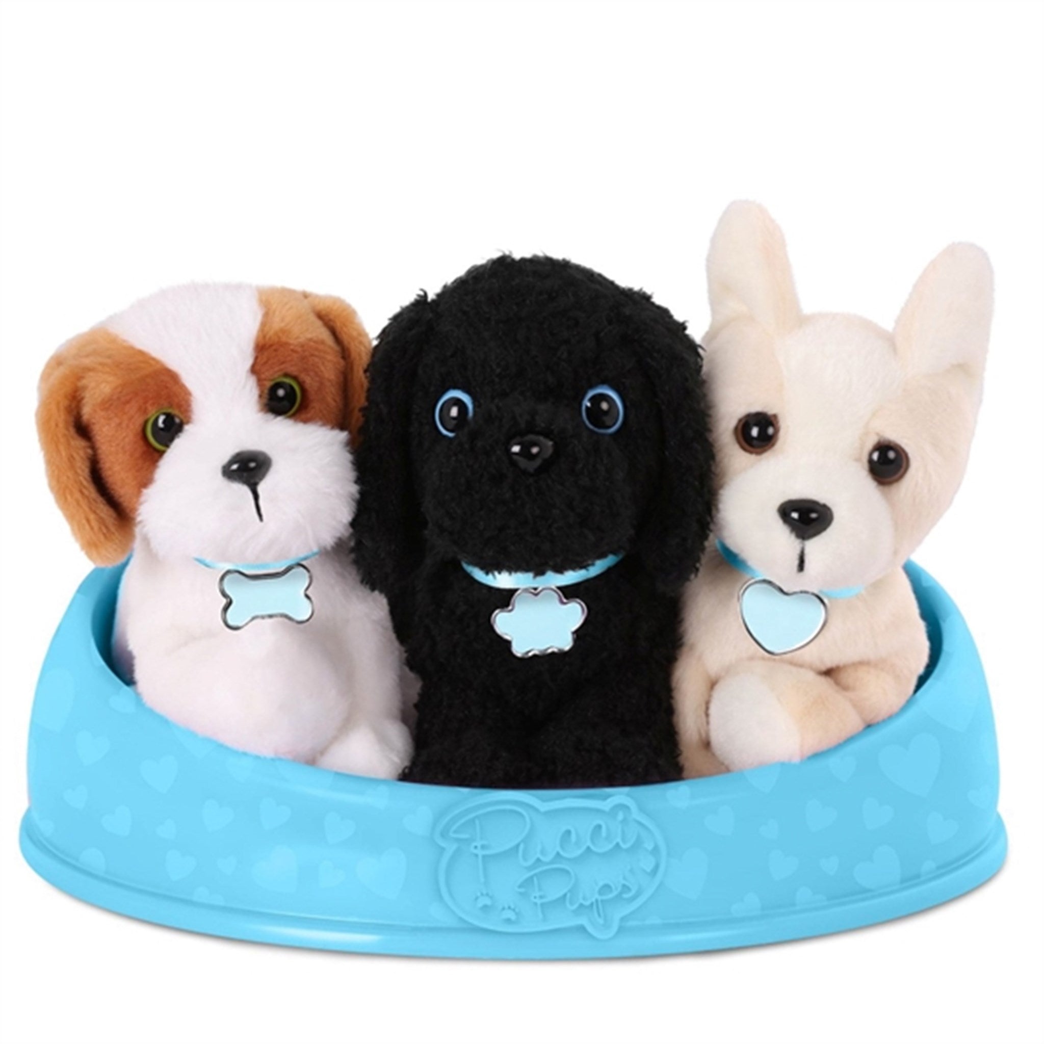 Pucci Pups Adopt a Dog Blue Basket