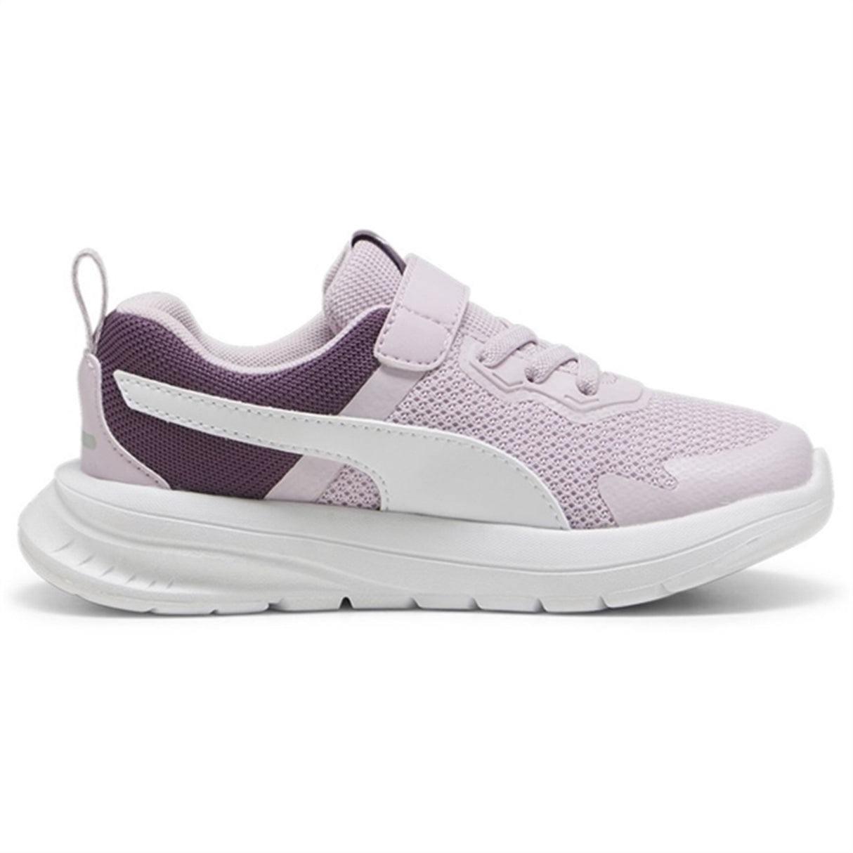 Puma Evolve Run Mesh Ac+ Ps Sneakers Purple