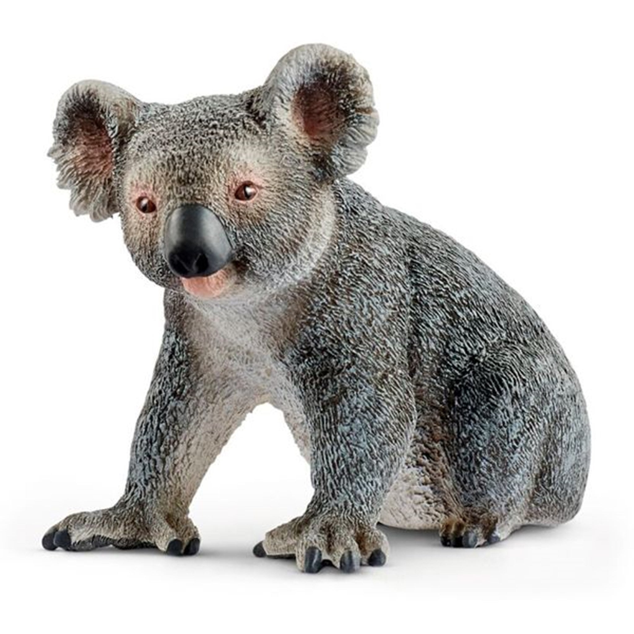 Schleich Wild Life Koala Bear