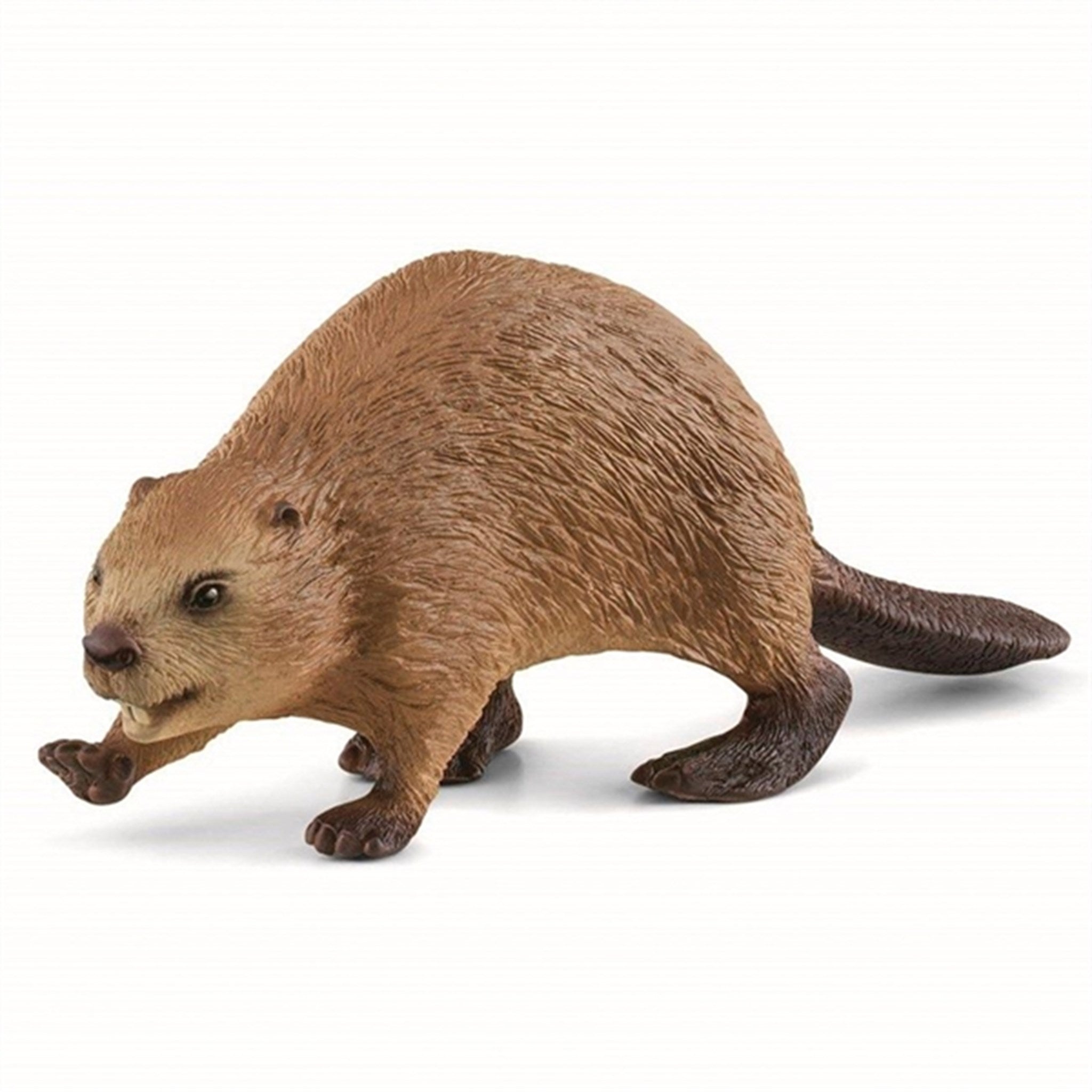 Schleich Wild Life Beaver