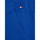 Tommy Hilfiger Skater Pull On Woven Pants Ultra Blue 5