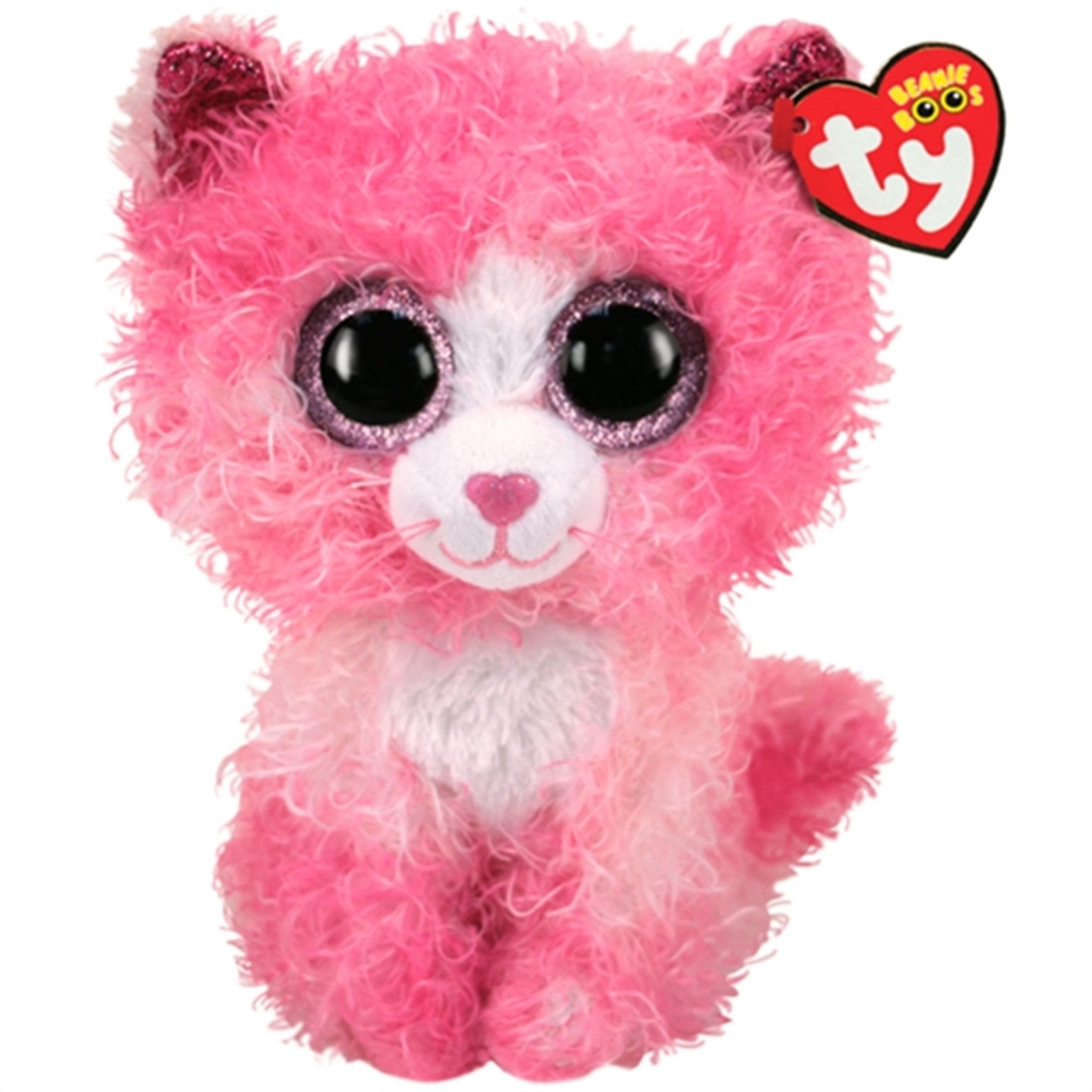 TyBeanie Boos Treats Lindi purchases and Cudle Bear and Frights the Cat