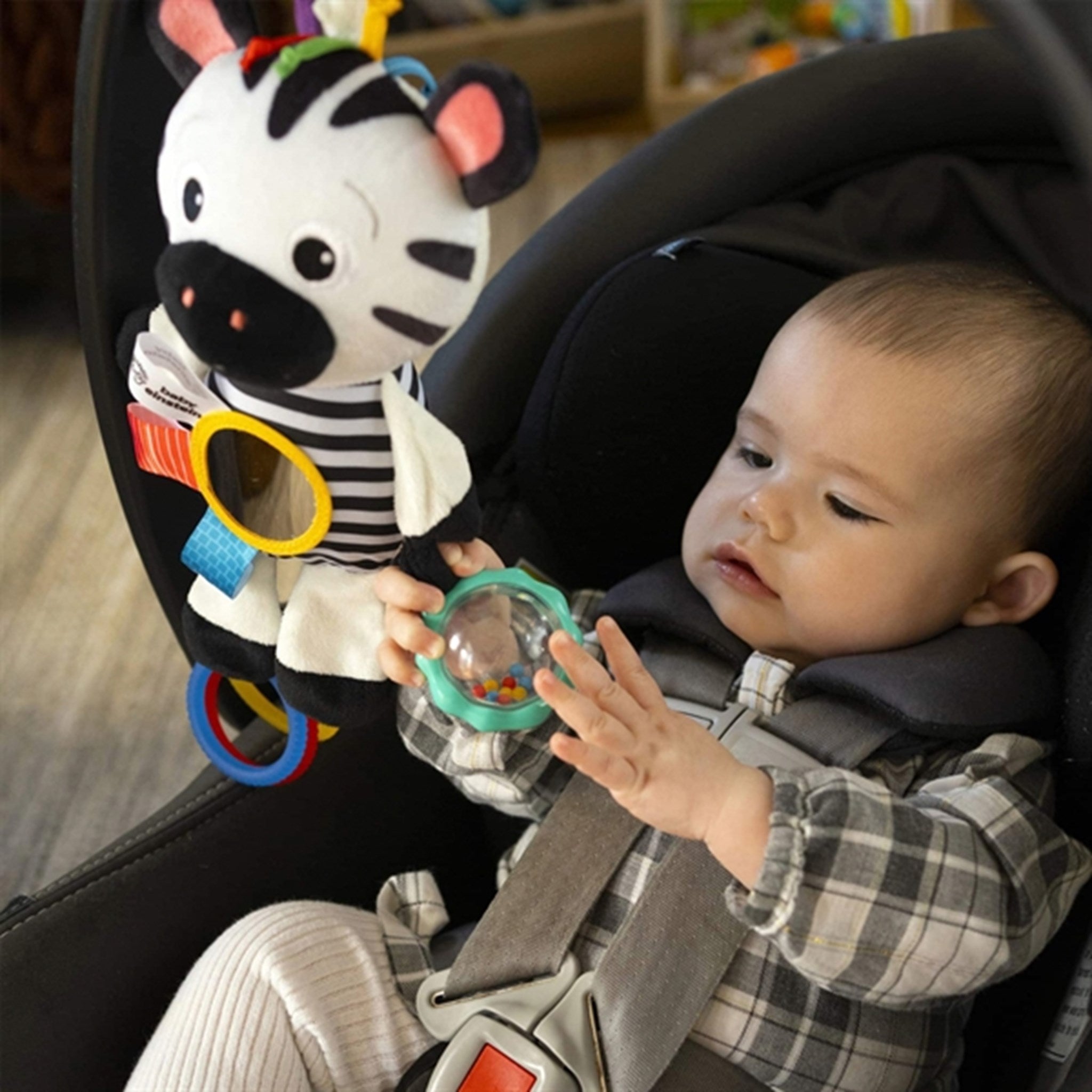 Baby Einstein Activity Toy - Zebra 3
